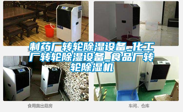 制藥廠轉輪除濕設備_化工廠轉輪除濕設備_食品廠轉輪除濕機