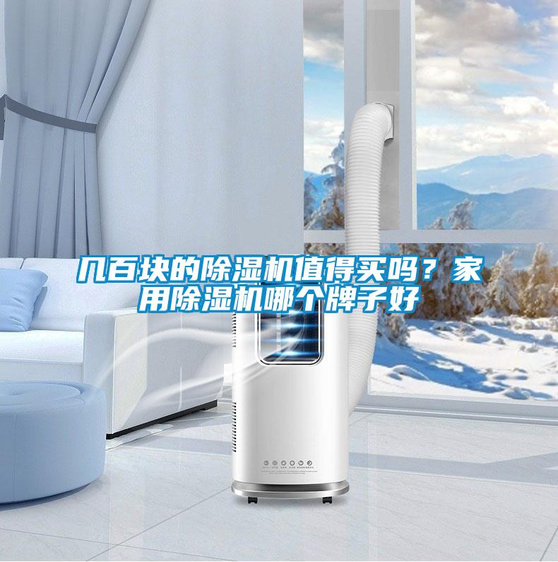 幾百塊的除濕機值得買嗎？家用除濕機哪個牌子好