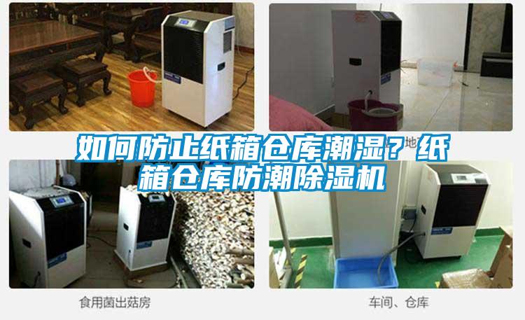 如何防止紙箱倉庫潮濕？紙箱倉庫防潮除濕機