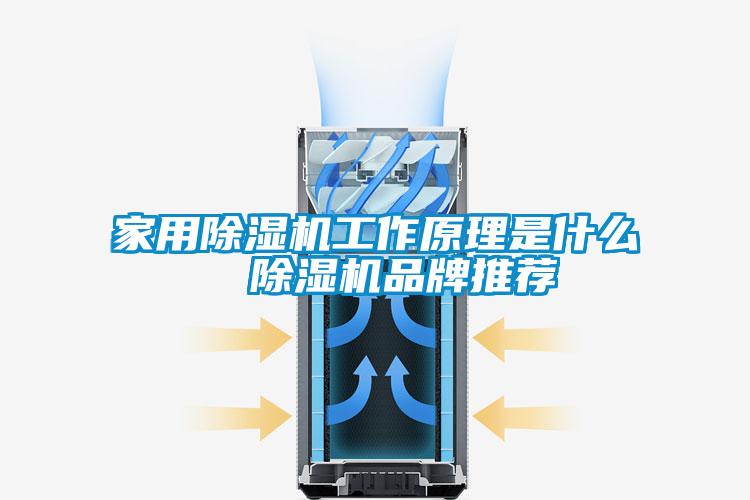 家用除濕機(jī)工作原理是什么  除濕機(jī)品牌推薦