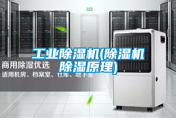 工業(yè)除濕機(除濕機除濕原理)