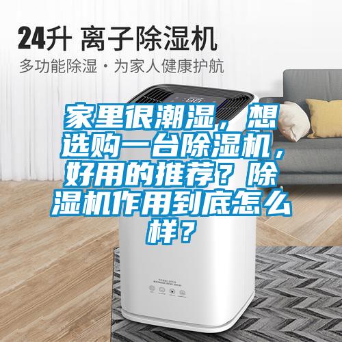 家里很潮濕，想選購一臺除濕機(jī)，好用的推薦？除濕機(jī)作用到底怎么樣？