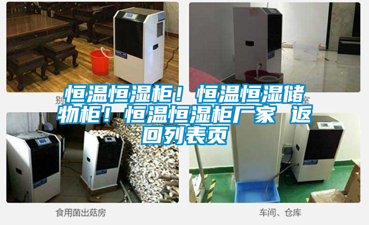 恒溫恒濕柜！恒溫恒濕儲物柜！恒溫恒濕柜廠家 返回列表頁