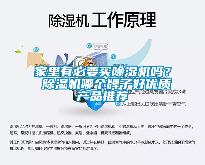 家里有必要買除濕機(jī)嗎？ 除濕機(jī)哪個(gè)牌子好優(yōu)質(zhì)產(chǎn)品推薦