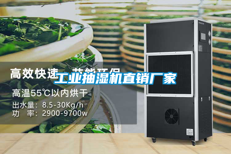 工業抽濕機直銷廠家