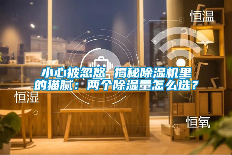 小心被忽悠 揭秘除濕機里的貓膩：兩個除濕量怎么選？