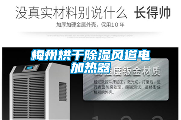梅州烘干除濕風道電加熱器