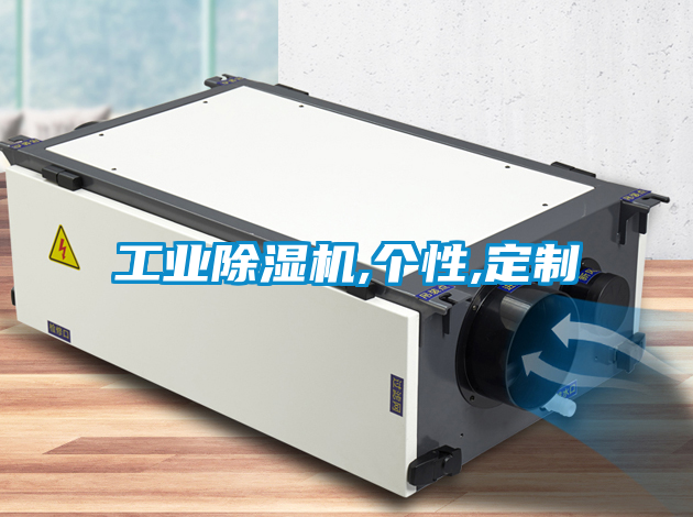 工業除濕機,個性,定制
