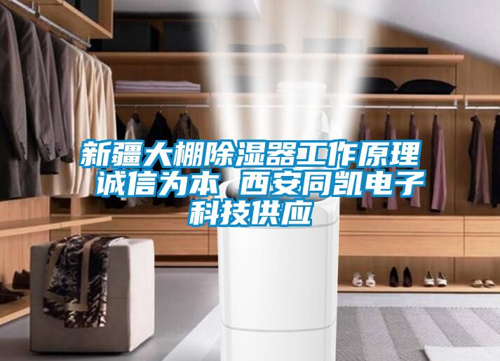 新疆大棚除濕器工作原理 誠信為本 西安同凱電子科技供應(yīng)