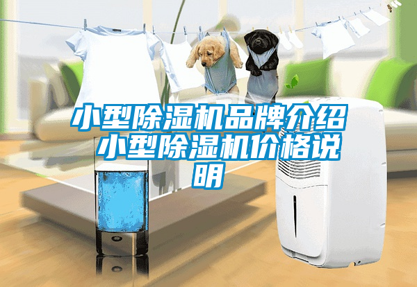 小型除濕機(jī)品牌介紹 小型除濕機(jī)價(jià)格說明