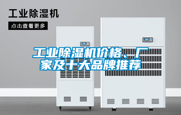 工業(yè)除濕機(jī)價格、廠家及十大品牌推薦