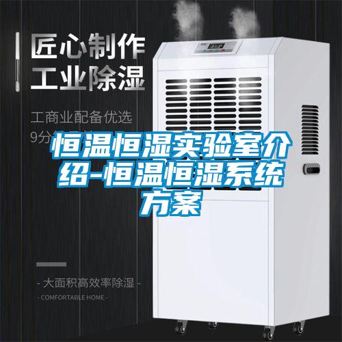 恒溫恒濕實驗室介紹-恒溫恒濕系統方案