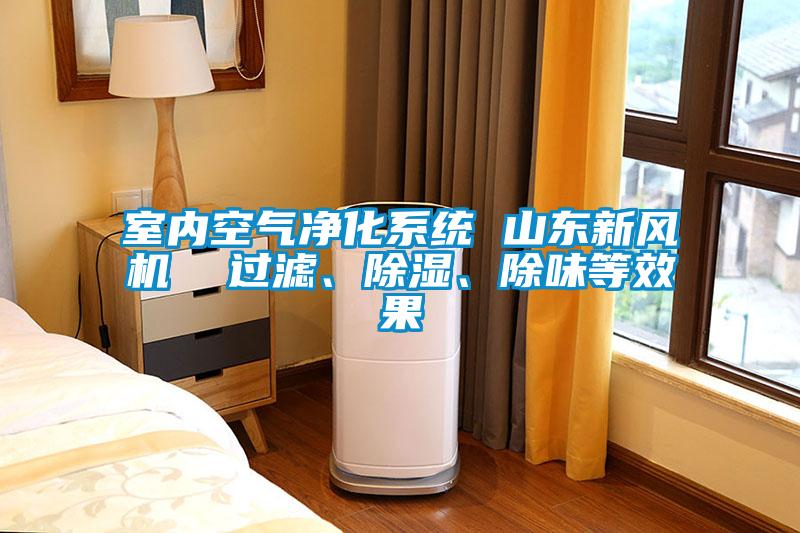 室內空氣凈化系統 山東新風機  過濾、除濕、除味等效果
