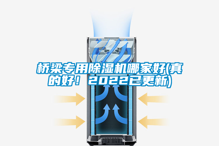 橋梁專用除濕機哪家好(真的好！2022已更新)