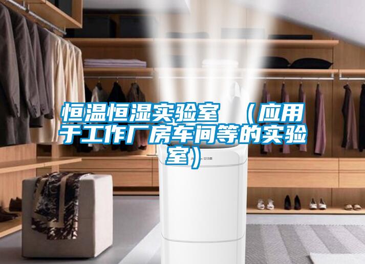 恒溫恒濕實驗室 （應(yīng)用于工作廠房車間等的實驗室）