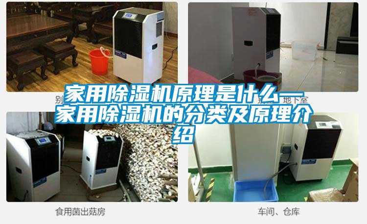 家用除濕機(jī)原理是什么—家用除濕機(jī)的分類(lèi)及原理介紹