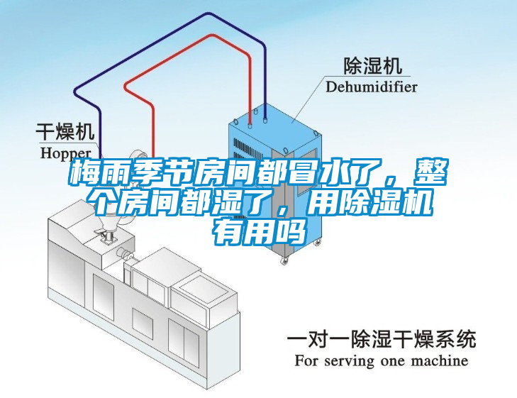 梅雨季節房間都冒水了，整個房間都濕了，用除濕機有用嗎
