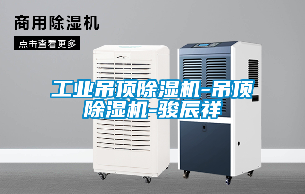 工業(yè)吊頂除濕機(jī)-吊頂除濕機(jī)-駿辰祥