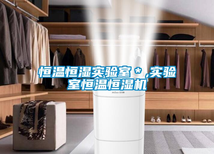 恒溫恒濕實(shí)驗(yàn)室＊,實(shí)驗(yàn)室恒溫恒濕機(jī)