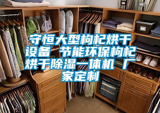 守恒大型枸杞烘干設備 節能環保枸杞烘干除濕一體機 廠家定制