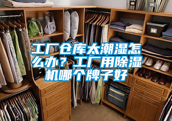 工廠倉庫太潮濕怎么辦？工廠用除濕機(jī)哪個(gè)牌子好