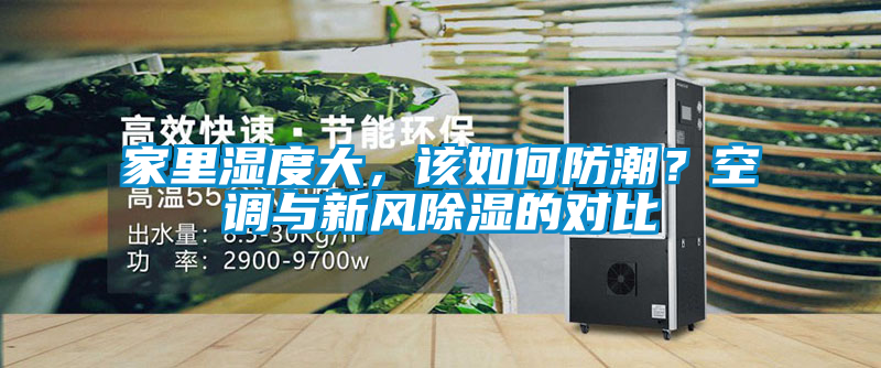 家里濕度大，該如何防潮？空調與新風除濕的對比