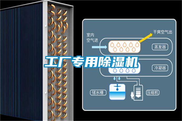工廠專(zhuān)用除濕機(jī)