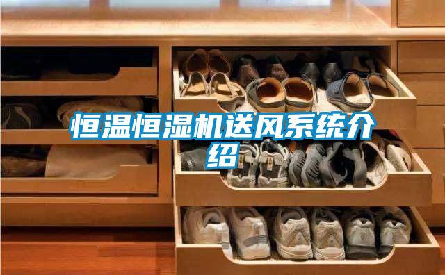 恒溫恒濕機送風系統(tǒng)介紹