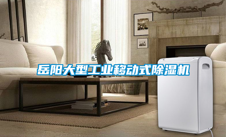岳陽大型工業(yè)移動式除濕機