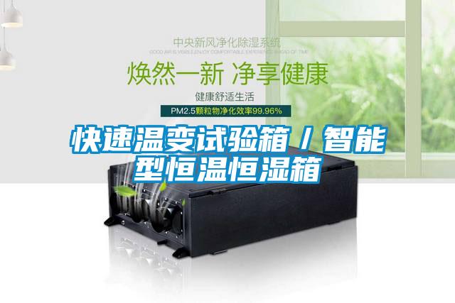 快速溫變?cè)囼?yàn)箱／智能型恒溫恒濕箱