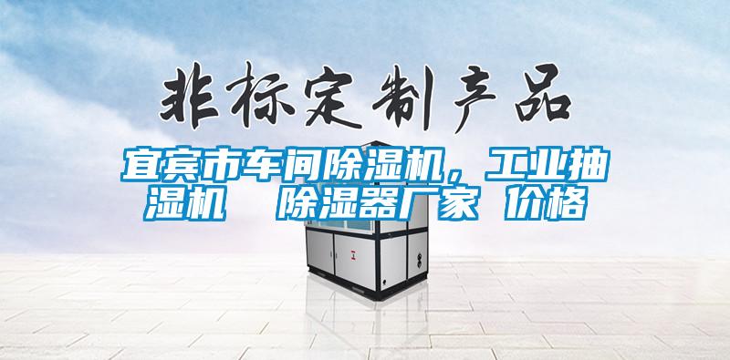宜賓市車間除濕機(jī)，工業(yè)抽濕機(jī)  除濕器廠家 價(jià)格