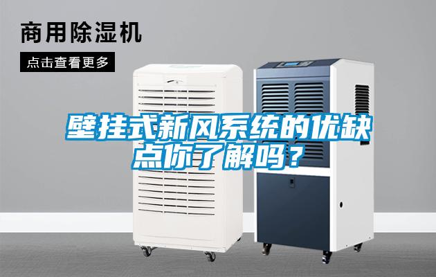 壁掛式新風(fēng)系統(tǒng)的優(yōu)缺點(diǎn)你了解嗎？