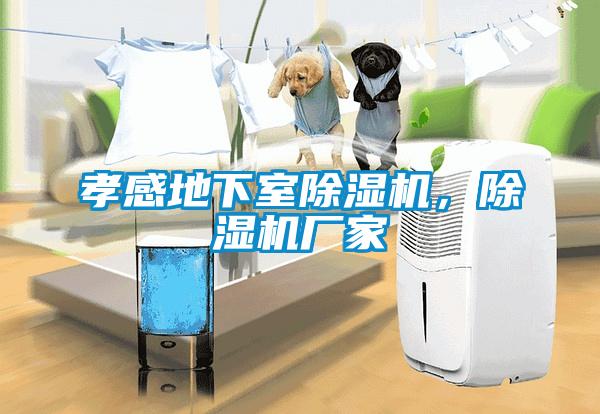 孝感地下室除濕機(jī)，除濕機(jī)廠家