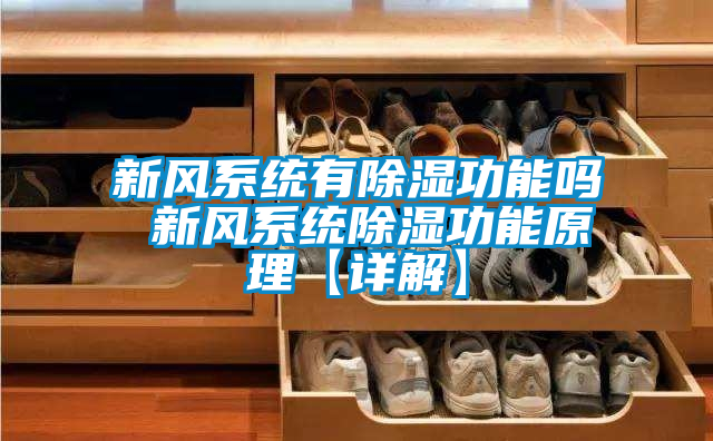 新風系統(tǒng)有除濕功能嗎 新風系統(tǒng)除濕功能原理【詳解】