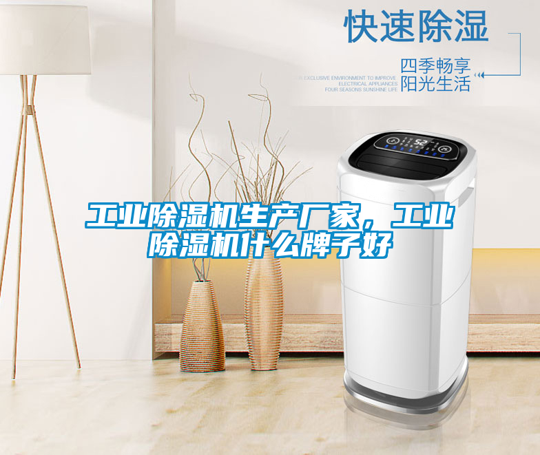 工業(yè)除濕機生產廠家，工業(yè)除濕機什么牌子好