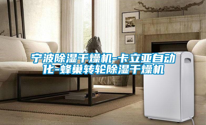 寧波除濕干燥機(jī)-卡立亞自動化-蜂巢轉(zhuǎn)輪除濕干燥機(jī)