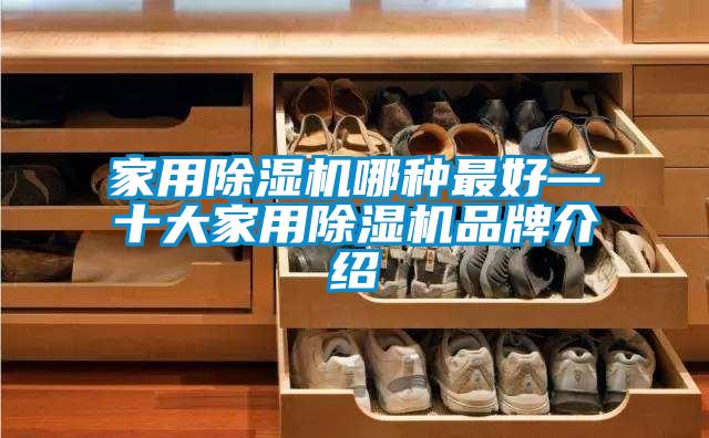 家用除濕機哪種最好—十大家用除濕機品牌介紹