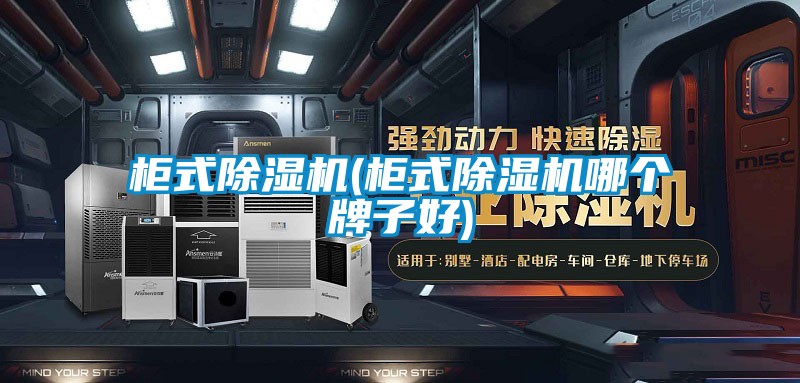 柜式除濕機(jī)(柜式除濕機(jī)哪個(gè)牌子好)
