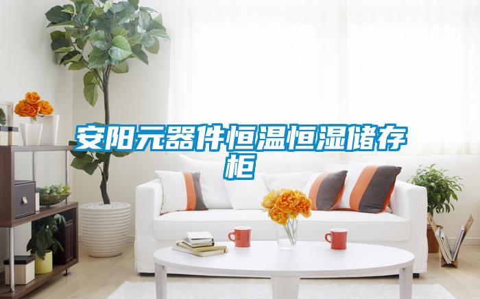 安陽(yáng)元器件恒溫恒濕儲(chǔ)存柜
