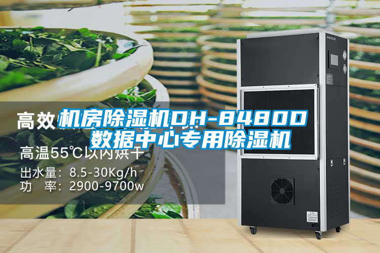 機房除濕機DH-8480D 數據中心專用除濕機