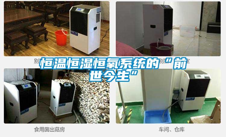 恒溫恒濕恒氧系統的“前世今生”