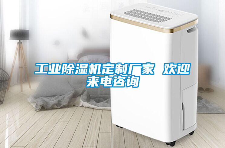 工業(yè)除濕機(jī)定制廠家 歡迎來(lái)電咨詢