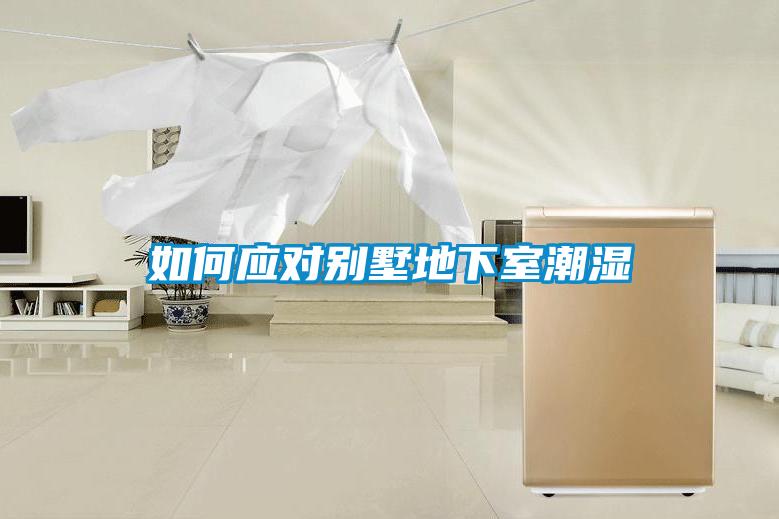 如何應(yīng)對(duì)別墅地下室潮濕