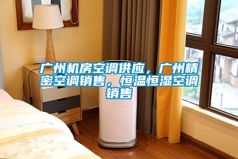 廣州機(jī)房空調(diào)供應(yīng)，廣州精密空調(diào)銷售，恒溫恒濕空調(diào)銷售