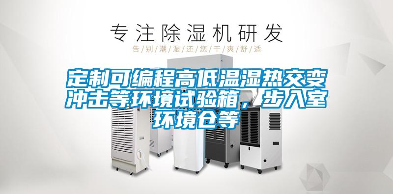 定制可編程高低溫濕熱交變沖擊等環境試驗箱，步入室環境倉等