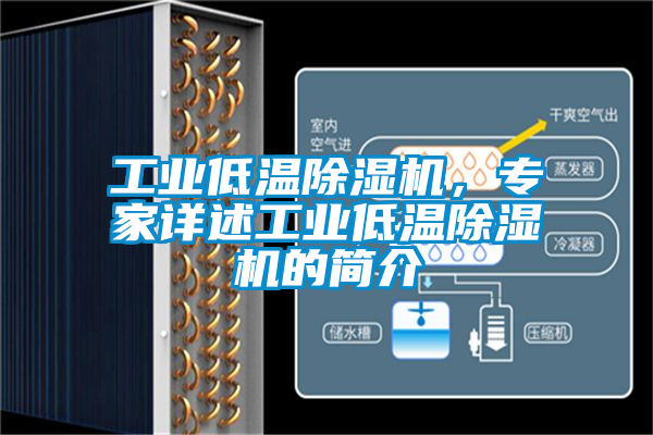 工業(yè)低溫除濕機，專家詳述工業(yè)低溫除濕機的簡介