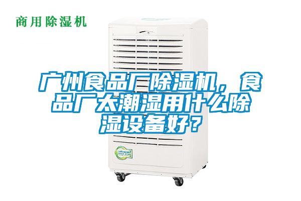 廣州食品廠除濕機，食品廠太潮濕用什么除濕設(shè)備好？