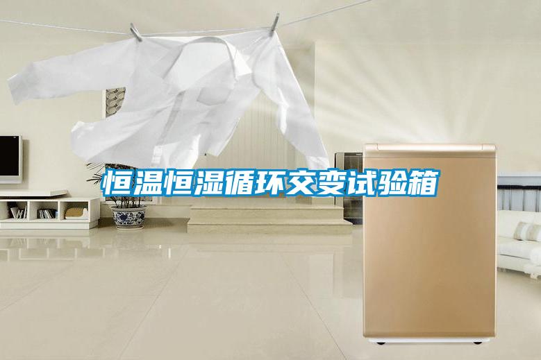 恒溫恒濕循環交變試驗箱
