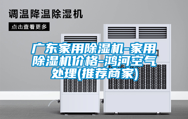 廣東家用除濕機(jī)-家用除濕機(jī)價(jià)格-鴻河空氣處理(推薦商家)