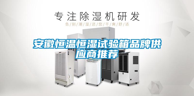 安徽恒溫恒濕試驗(yàn)箱品牌供應(yīng)商推薦